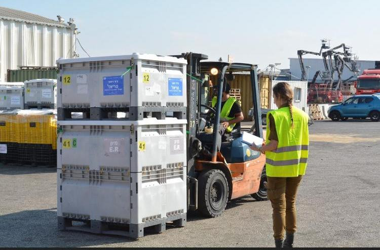 delegatie Israel in Romania