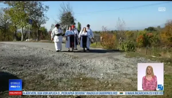 Obicei în Maramureș. Îmbrăcați în straie populare, oamenii ajută la culesul strugurilor