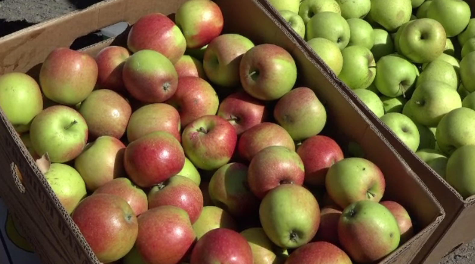 Mere de toate soiurile, prezentate clienților care vor să-și facă provizii pentru iarnă. Prețul acestora