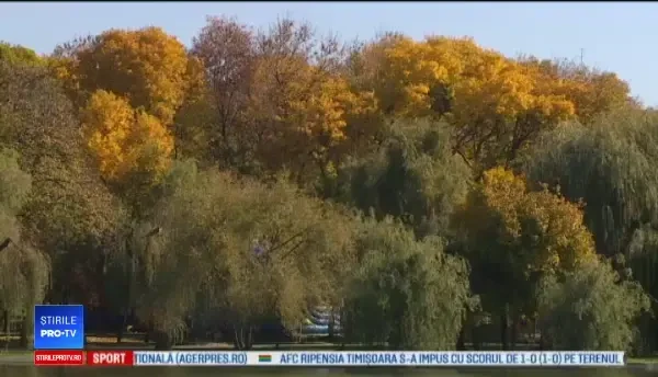 Horoscop 15 octombrie 2018. Vești bune pe plan financiar pentru mai multe zodii în acestă zi