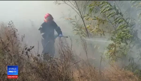 Pompierii de-abia au făcut față unui incendiu de miriște. Mulți militari erau la exercițiul de cutremur