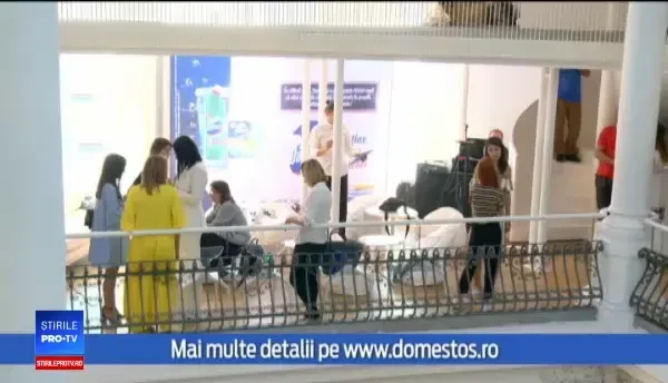 (P) Domestos a dat startul campanie Susține igiena în școli. Cum pot fi câștigate fondurile pentru renovarea toaletelor