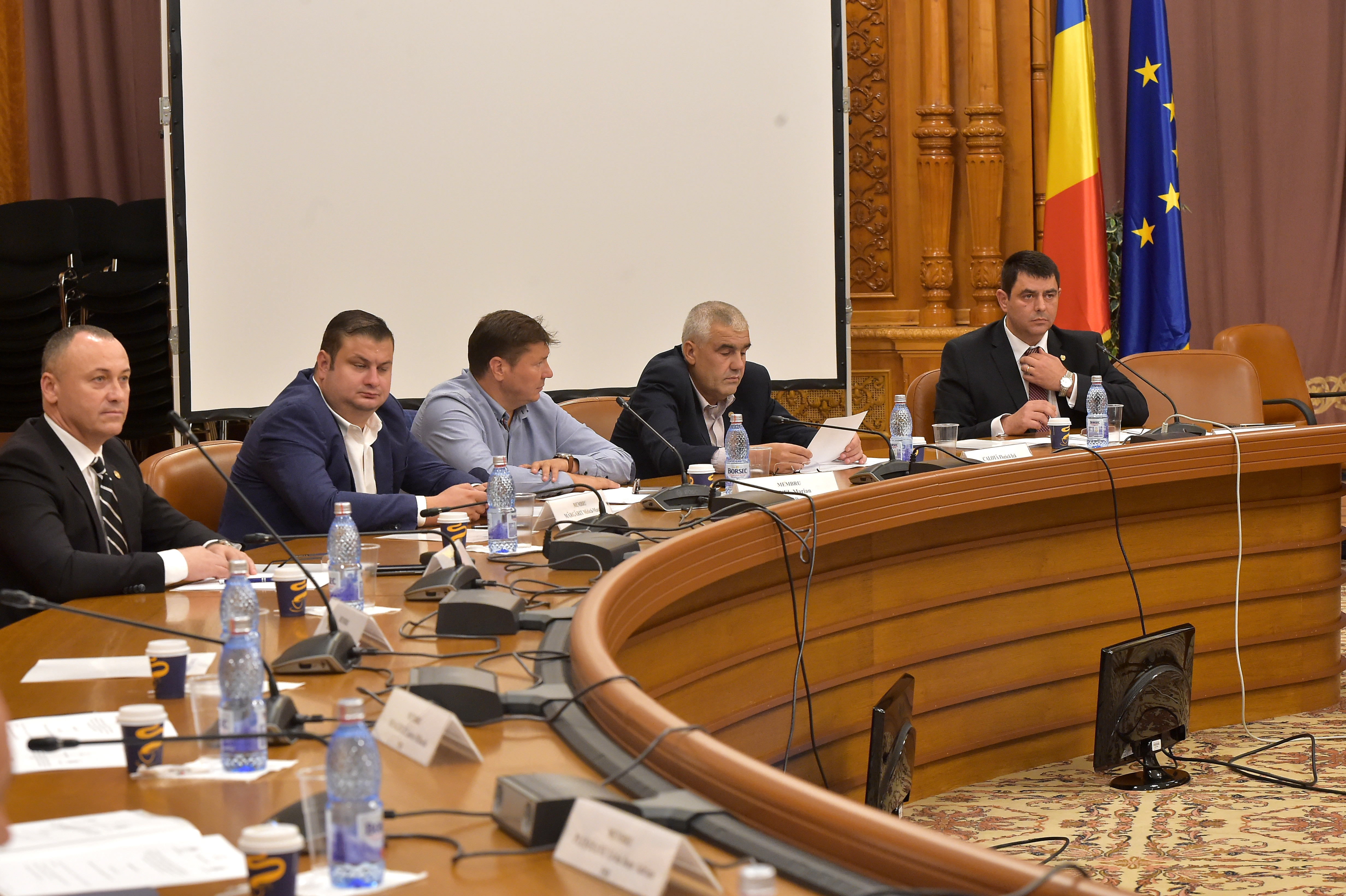 Generalul Daniel Bălaşa, audiat în Comisia parlamentară de anchetă a activităţii SPP