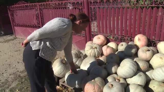 După o vară secetoasă, urmează o toamnă păguboasă pentru agricultori. Efectele negative