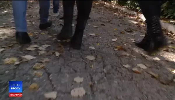 Cinci adolescente au ajuns la spital, după ce au fumat etnobotanice