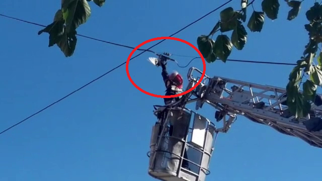 Operațiune de salvare a unui porumbel în Bârlad