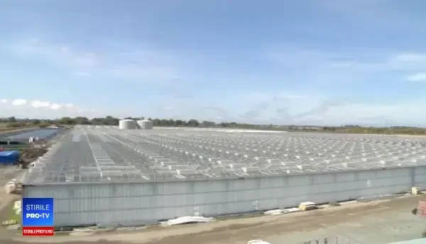 Canada, a doua țară din lume care a legalizat marijuana. La magazine s-au format cozi