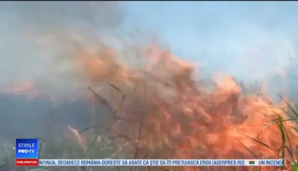 Pericolul arderii resturilor de pe câmpuri. Doi bărbați au murit în flăcări