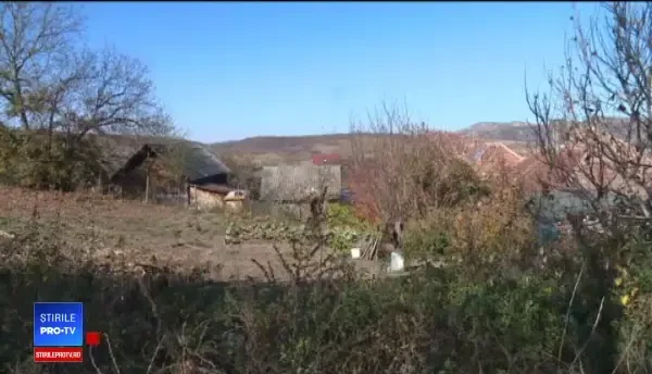 O bătrână a ars de vie în curtea casei, iar animalele din gospodărie i-au devorat trupul