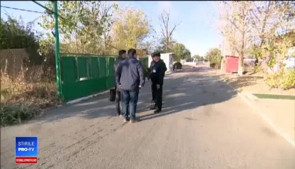 Ferma fiului lui Liviu Dragnea, executată silit. Nu a mai fost găsit însă niciun porc