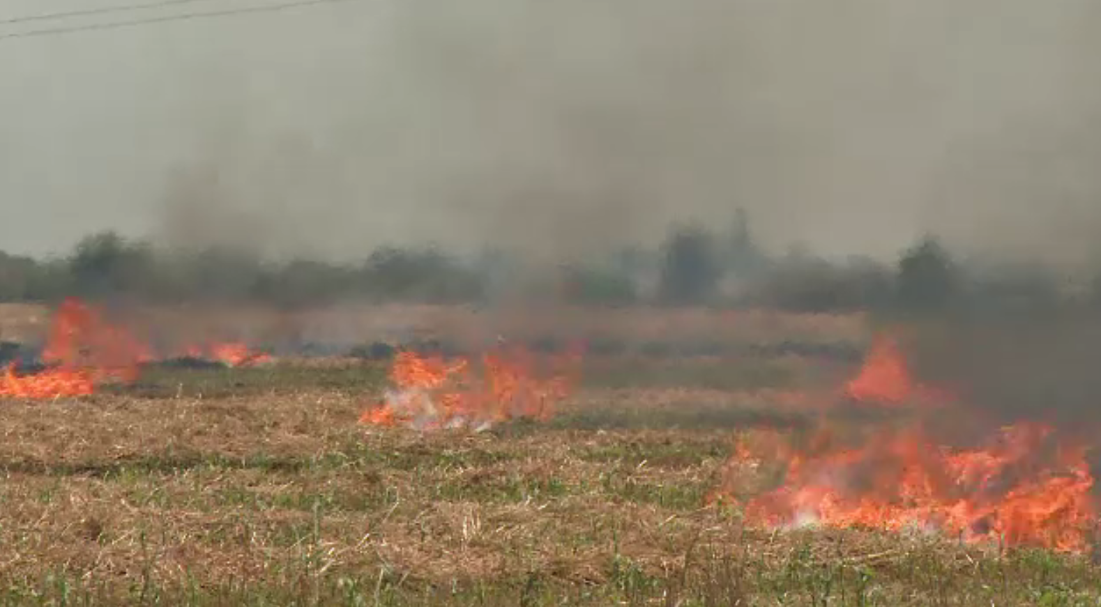 Incendiile de vegetație provocate au dus la tragedii. Avertismentul autorităților