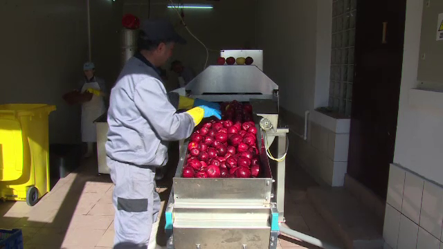 Un scoțian și-a deschis o fabrică de cidru în Argeș. Cât câștigă pe un litru