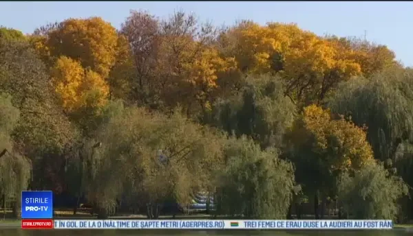 Horoscop 18 octombrie 2018. Planuri de călătorie și relaxare pentru nativii acestei zodii