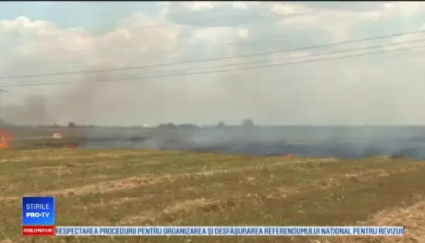 Incendiile de vegetație provocate au dus la tragedii. Avertismentul autorităților