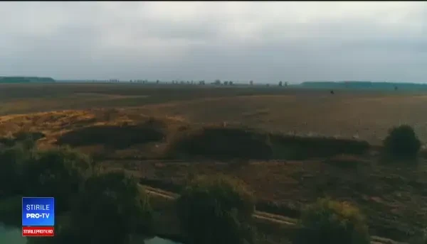 Studiu: 40% din terenurile agricole din România aparțin străinilor. Zonele cu vânzări masive