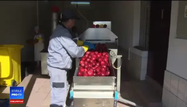 Un scoțian și-a deschis o fabrică de cidru în Argeș. Cât câștigă pe un litru