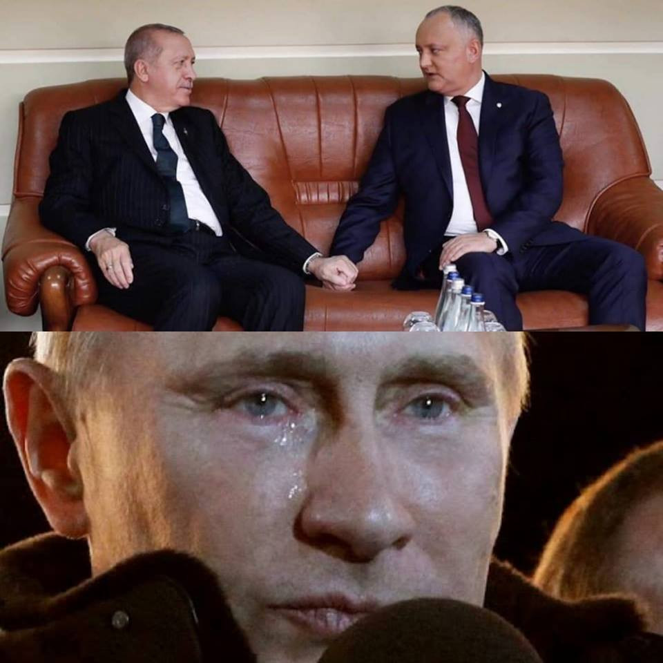 Dodon - erdogan - glume - 2