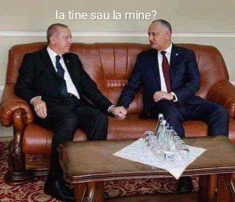 Dodon - erdogan - glume - 8