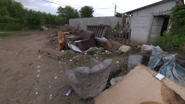 Gunoaie - Inspectorul Pro