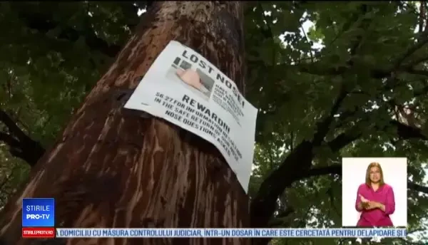 Recompensa oferită de 3 frați, care au rămas fără decorațiunea favorită de Halloween