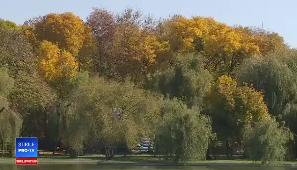 Horoscop 20 octombrie 2018. Zodia care va cheltui o importantă sumă de bani