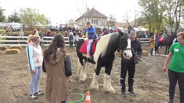 Cum îi ajută echitația terapeutică pe copiii cu diverse probleme de sănătate