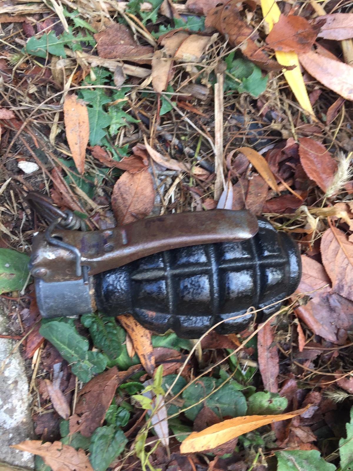 Alarmă într-o școală din Caraș Severin, unde un elev a venit cu o grenadă la ore. Primele măsuri