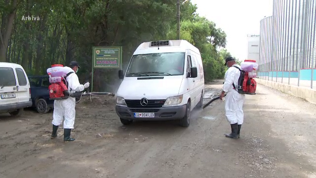 Pesta porcină se extinde în vestul țării. Cei care vând porci sănătoși au mărit preţurile semnificativ