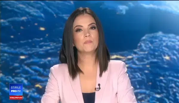 Sute de copaci tăiați ilegal, într-o pădure din Cluj. Cum au acționat hoții