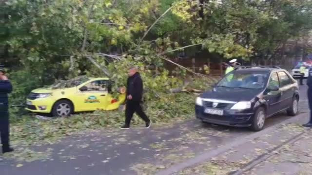 Codul portocaliu de vânt a făcut victime. Trei oameni, prinşi sub copaci