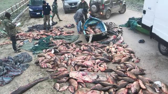 BRACONIERI FĂRĂ FRONTIERE, partea I