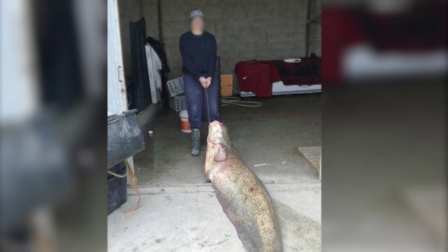 BRACONIERI FĂRĂ FRONTIERE, partea I