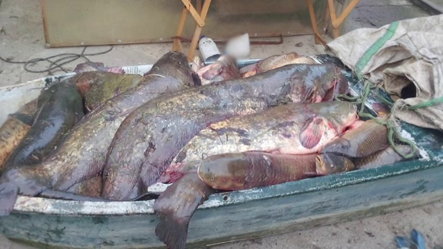 BRACONIERI FĂRĂ FRONTIERE, partea I