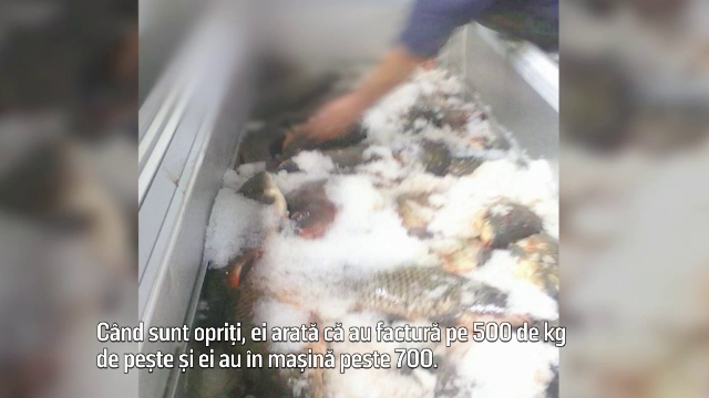 BRACONIERI FĂRĂ FRONTIERE, partea a II-a