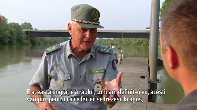 BRACONIERI FĂRĂ FRONTIERE, partea a II-a