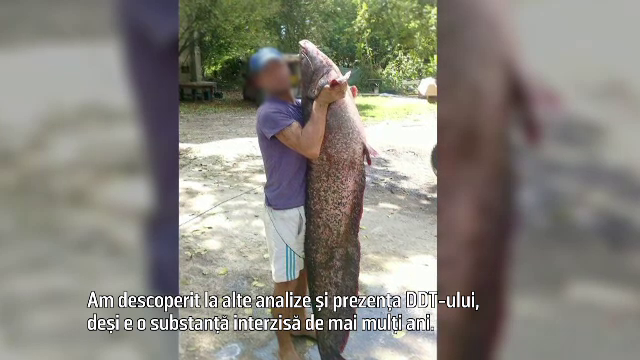 BRACONIERI FĂRĂ FRONTIERE, partea a III-a