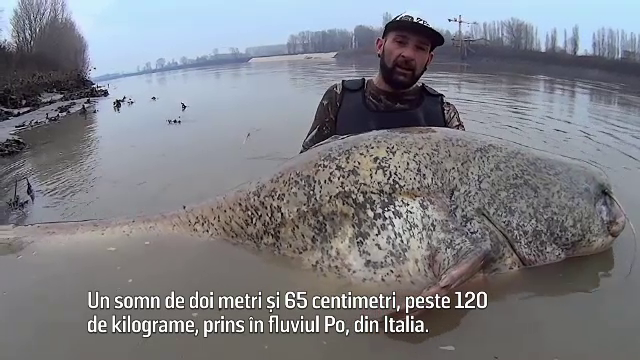 BRACONIERI FĂRĂ FRONTIERE, partea a III-a