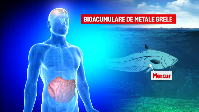 BRACONIERI FĂRĂ FRONTIERE, partea a III-a