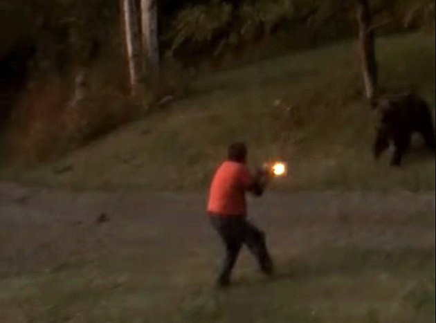 Bărbat atacat de o ursoaică, după ce a împușcat-o într-un picior. Cum s-a sfârșit totul