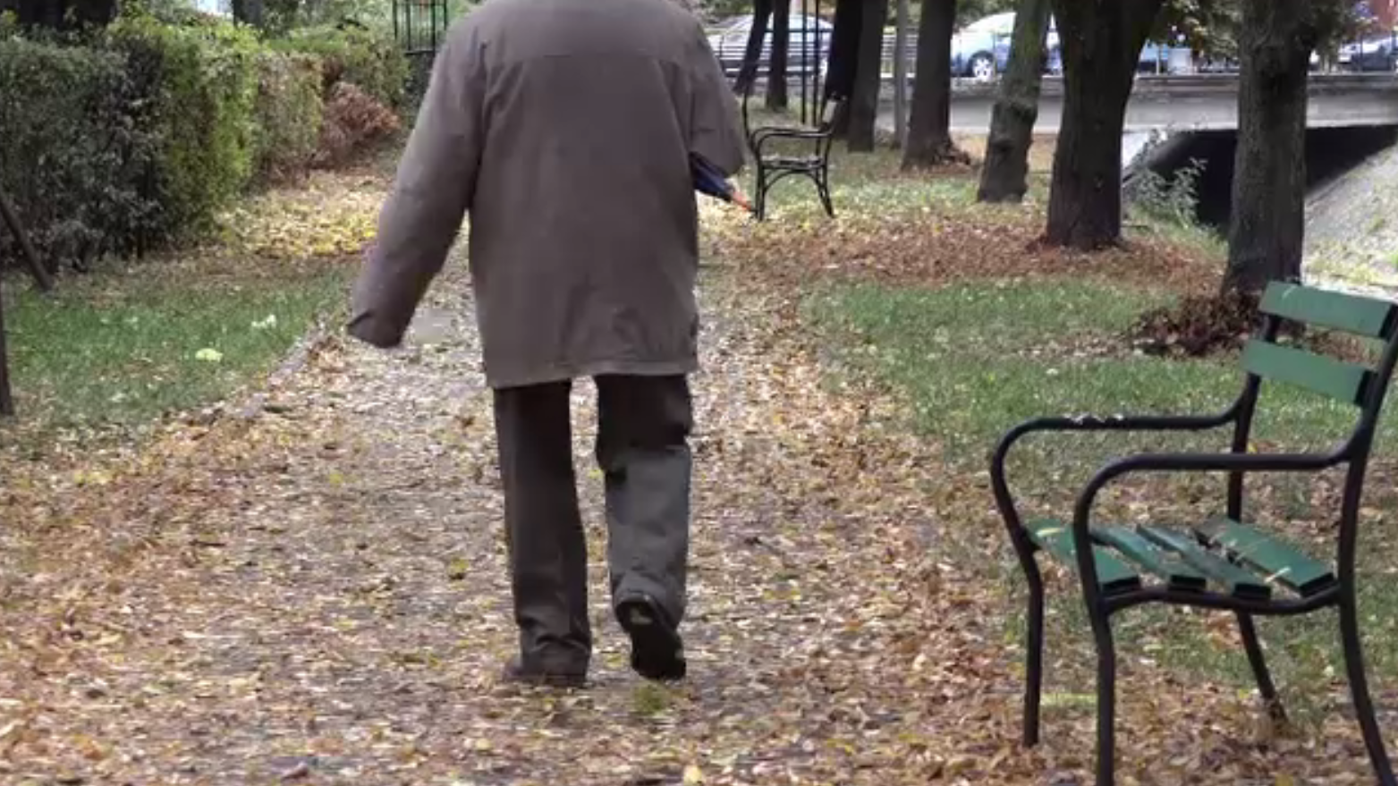 Bărbat din Târgu Mureş, ucis de un copac doborât la pământ de vântul puternic