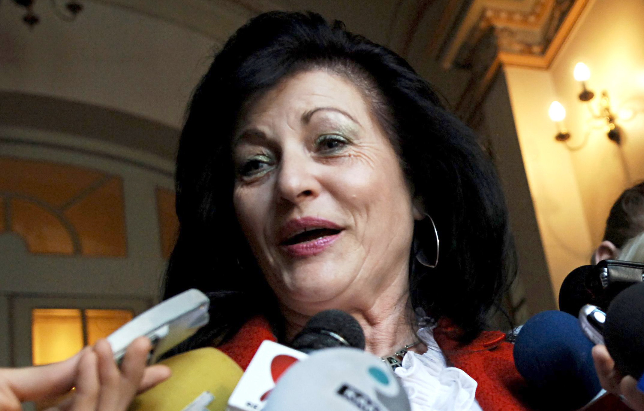 O deputată PSD susține amendarea tuturor participanţilor la mitingul diasporei