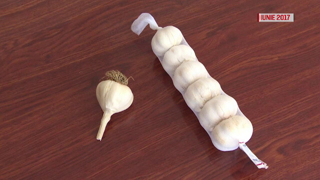 Mai mult usturoi românesc în pieţe, de anul viitor. Soiul „Râmnicelu", salvat de cercetătorii din Buzău