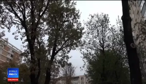 Codul portocaliu de vânt a făcut victime. Trei oameni, prinşi sub copaci