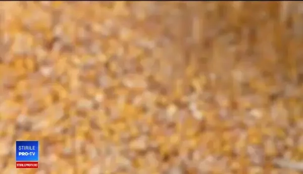 Topul în care România va deveni lider european. Francezii spun că am vampirizat piața