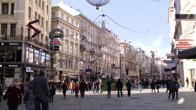 Olguţa Vasilescu a criticat reforma alocaţiilor din Austria. Românii vor primi bani mai puțini