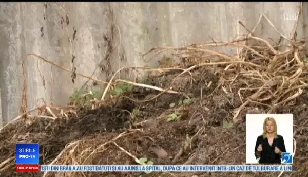 Compostul, secretul care le-a asigurat câştigul fermierilor care au pariat pe îngrăşămintele naturale