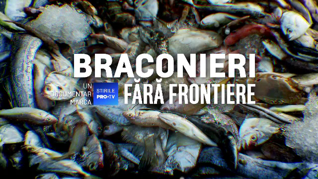 România, te iubesc: ”Braconieri fără frontiere”. Emisiunea integrală din 28 octombrie 2018