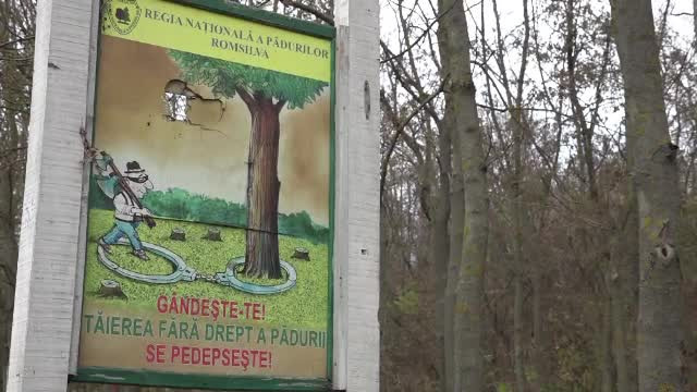 Un pădurar a fost bătut crunt de hoții de lemne pentru că i-a amendat