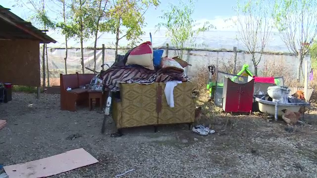 Orașul din România invadat de șobolani: „Sunt ca la nuntă, alai. Dansează, fac ce vor ei”