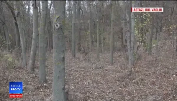 Un pădurar a fost bătut crunt de hoții de lemne pentru că i-a amendat